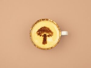 Are Mushroom Coffees Actually Good for You? Discover Now!