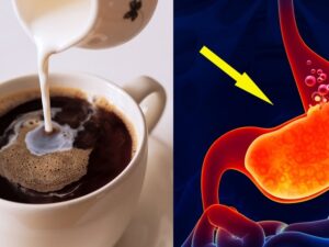 Are You Supposed to Drink Coffee on an Empty Stomach? Shocking Truths! 46 Are You Supposed to Drink Coffee on an Empty Stomach