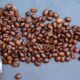 How Long Do Coffee Beans Last: Essential Freshness Guide