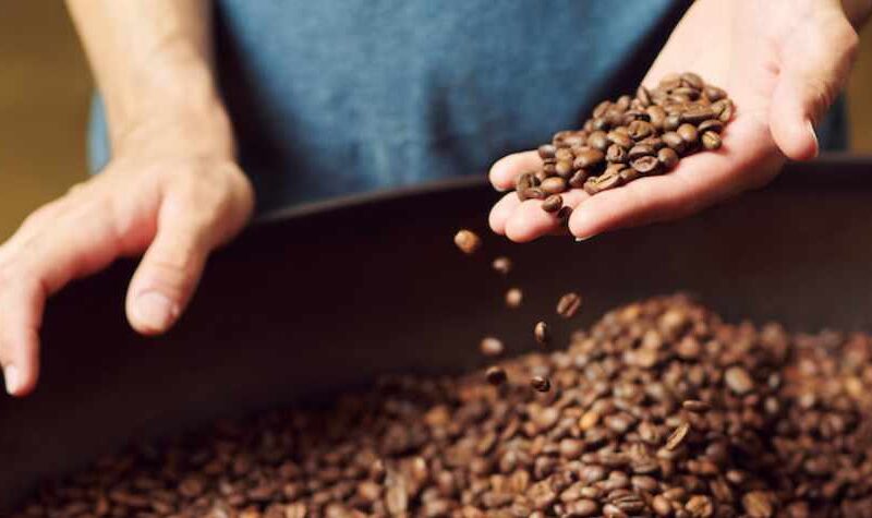 How to Choose the Best Beans for Brewing: Expert Tips