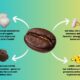 How to Prepare Mushroom Coffee