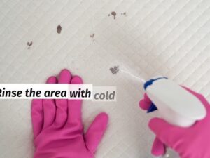 How to Remove Coffee Stain from Carpet: Proven Techniques