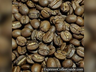 What is Best Coffee Bean in the World
