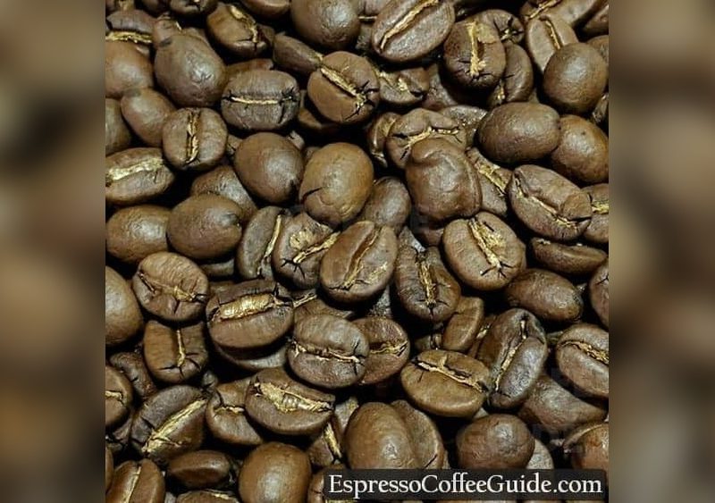 What is Best Coffee Bean in the World