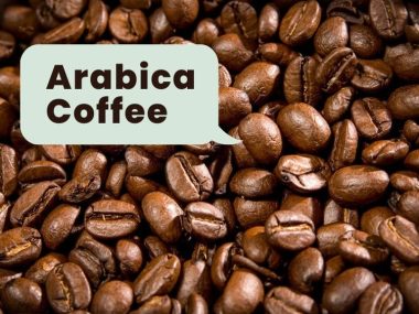 What is the Best Coffee Bean for Cappuccino