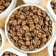What is the Best Light Roast Coffee? Discover Top Picks