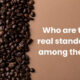 What is the Healthiest Coffee Beans to Buy? Expert Picks