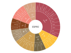 What is the Least Bitter Coffee