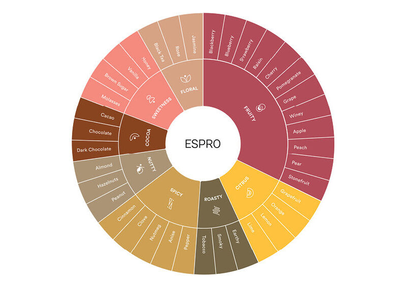 What is the Least Bitter Coffee