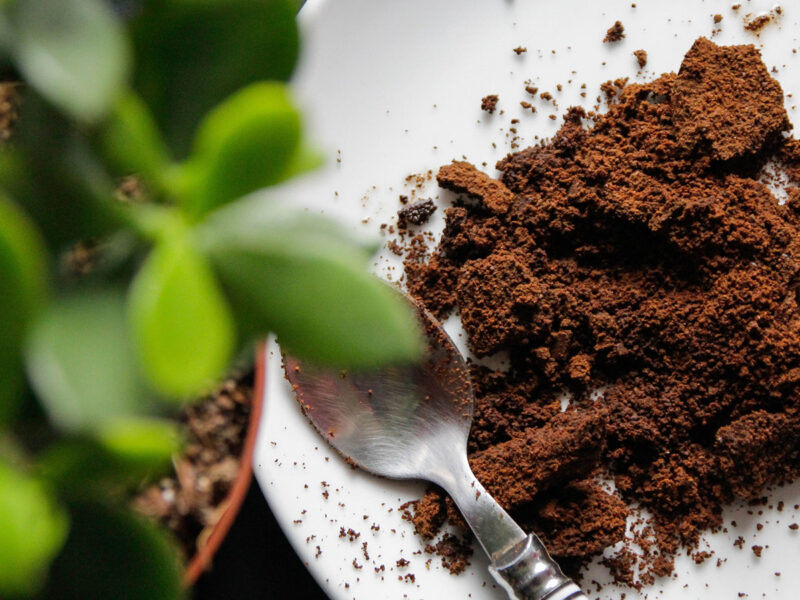 What to Do With Coffee Grounds: Creative Ways to Reuse