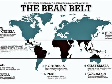 Where Do the Best Coffee Beans Come from