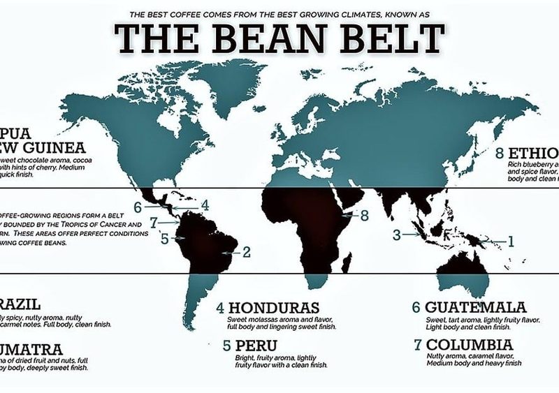 Where Do the Best Coffee Beans Come from