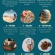 Which are the Best Coffee Beans: A Flavorful Journey